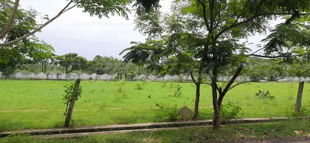 nerellavalasa-chinnapuram-padmanabham-vizianagaram