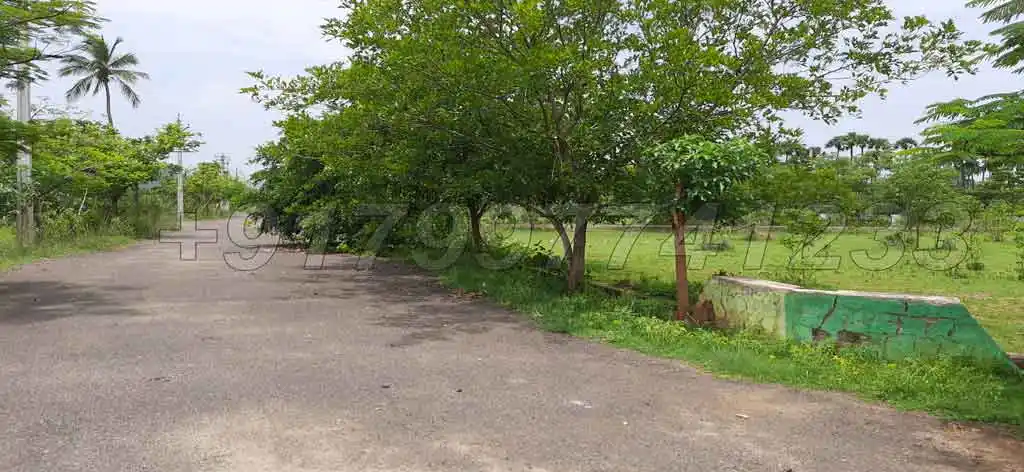 nerellavalasa-chinnapuram-padmanabham-vizianagaram