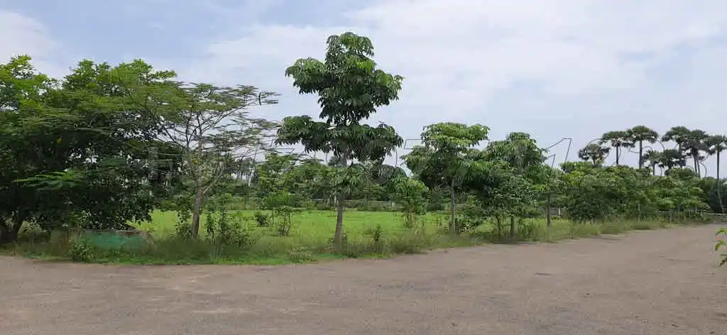 sai-vijaya-chinnapuram-vizianagaram